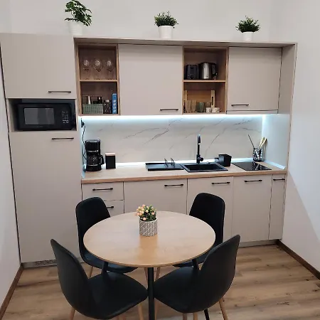 B8 - Spacious, Charming Apartment In Central Sibiu Exterior photo