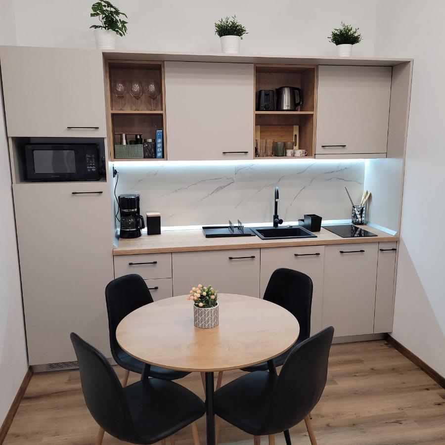 B8 - Spacious, Charming In Sibiu